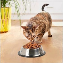 1001 Paslanmaz Çelik Kedi Mama ve Su Kabı, Köpek Çelik Mama Kabı, Kaymaz Lastikli Taban, Dayanıklı