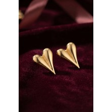 Nemere Mey Ithalat® 316L Çelik Gold Renk Kalp Model Küpe
