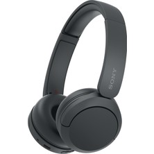 1001 WH-CH520 Kablosuz Bluetooth Kafa Kulaklığı, Ses, Hafif Tasarım, 50 Saat Pil, Hızlı Şarj, Ekol