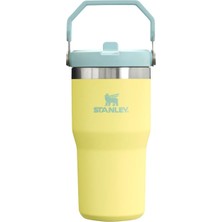 1001 Buz Akışı Go 600ML/20OZ Flip Straw Wtr Btl Pomelo