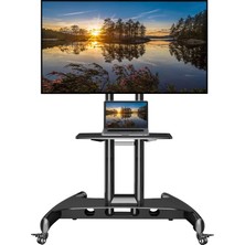 1001 North Bayou Nb AVA1500-60-1P LCD LED OLED Plazma Düz Panel Ekranlar Için 32-75 Inch Tuv Sertifikal