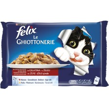 1001 Multipack Sığır Etli ve Tavuklu Yetişkin Yaş Kedi Maması 4X85GR