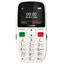 1001 GL395 Tuşlu Cep Telefonu Gümüş (Beyaz)