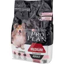 1001 Medium Adult Somonlu Köpek Maması 3 kg