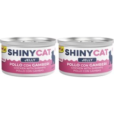 1001 Shinycat Konserve Kedi Maması - Tavuklu Karidesli 70 gr 2li Paket