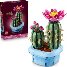 1001 Botanicals Çiçekli Kaktüs 11509 | 9 Yaş ve Üzeri Çocuklar Için Çiçek Açmış Büyük ve To