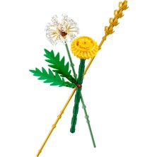 1001 Botanicals Tarla Çiçekleri 30701