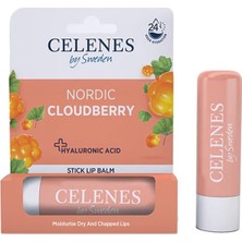 1001 Celenes Nordic Cloudberry Stıck Lip Balm, Dudak Nemlendirici, 4.8 gr