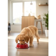 Frefly Store Renkli Metal Mama ve Su Kabı, Kaymaz ve Dayanıklı Tasarım, 22 cm