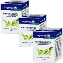 Frefly Store Winter Mentol Buharlaşan Merhem Viks Vikis Mentol ve Okaliptus 40 gr x 3 Adet
