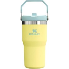 Frefly Store Stanley Buz Akışı Go 600ML/20OZ Flip Straw Wtr Btl Pomelo