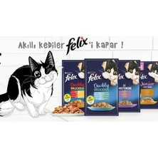 Frefly Store Süper Karışık 12 Adet Kedi Sı
