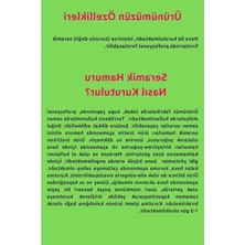 Frefly Store Seramik Hamuru 4000 Gr, 7li Plastik Ebeşuar (Modelaj Seti), Kesme Teli-Ipi, Guaj, Doğal Kil Çamuru