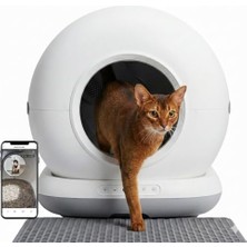 Frefly Store Haustier CB002 Kameralı Akıllı Otomatik Kedi Tuvaleti, App ile Uzaktan Kontrol, 72LT Hazne, 7lt Çöp Haznesi Gri