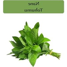Frefly Store 0,02 gr Paket Halinde Taze Nane Tohumu, Bahçe Dekorasyonu ve Kullanımı Için Ideal Seçim