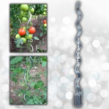 Frefly Store 20 Adet 150 cm Metal Spiral Bitki Destek Çubuğu Hobi Bahçesi Bitki Bağlama Teli Sebze Desteği ve Çiçek Teli