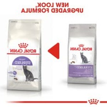 Frefly Store Royal Canin Kısırlaştırılmış Kediler Için, 37 Kuru Kedi Maması, 4 Kg, Renksiz