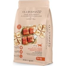 Frefly Store Kilo Kontrolü Için Kısırlaştırılmış Somonlu Kedi Maması, 750 Gram