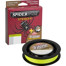 Frefly Store Spiderwire