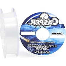 Frefly Store 100 Metre Uzunluğunda 0.2 mm Kalınlığında Fluorocarbon Ip