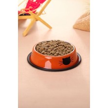 Frefly Store Paslanmaz Çelik 180 ml Turuncu Kaymaz Taban Kedi Köpek  ve Su Kabı CIN570TR