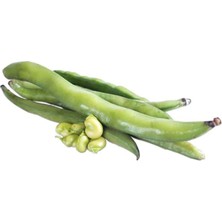 Frefly Store Bakla (Çoklu Tohum) - 50 Gram