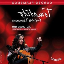 Frefly Store Flamenco Gitar Teli, Normal Tansiyon ile Yüksek Performans Sunar