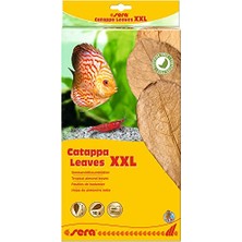 Frefly Store Catappa Yaprağı Xxl 32 cm