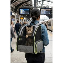 Frefly Store Reyo Brave Paws Plastik Fileli Piramit Model Yıkanabilir Kedi ve Köpek Taşıma Çantası Gri