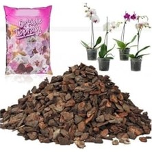 Frefly Store 9 Litre Organik Doğal Karışım Orkide Toprağı 1. Sınıf Dezenfekte Orkide Harcı Torf