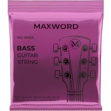 Frefly Store Gt-Bass Kaliteli Bas Gitar Teli 1 Takım Set
