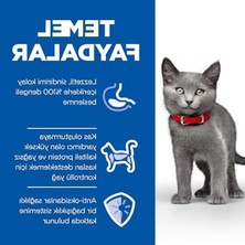 Frefly Store Kısırlaştırılmış Yavru Kedi Maması, Tavuklu, 1.5 kg