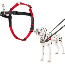 Frefly Store Company Of Animals  Köpekler Için Önden Kontrollü Göğüs Tasması, Orta Boy