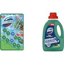 1001 Wc Blok 5'li Güç Çam Ferahlığı 600 Sifona Kadar Güçlü Temizlik 110 gr Ikili Paket ve Domes