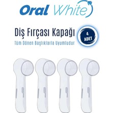 1001 Diş Fırçası Kapağı, Şarjlı ve Pilli Diş Fırçaları ile Uyumlu | Şeffaf Antibakteriyel 4
