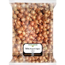 1001 Kıska Soğan 500 Gr. Arpacık Soğan Iska Soğan Tohumu Iska