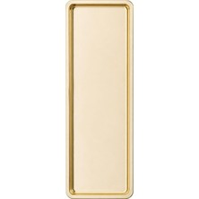 1001 Paslanmaz Çelik, Dikdörtgen Sunum Tepsisi, Gold, 33X13 Cm, Düz, Çay, Kahve, Pasta Sunum, 1 Adet