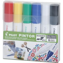 1001 Pıntor-M-6 Color Set (Basic)