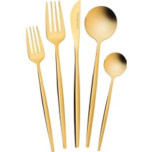 1001 Orıon Shıny Gold 30 Prç Çkb Kutulu