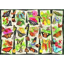 1001 1000P Puzzle Tropik Kelebekler, Yetişkin Puzzle