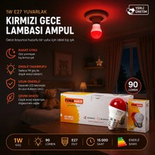 Ronanna Buğz 10 Adet 1W E27 Kırmızı Yuvarlak Gece Lambası LED Ampul EAMP-075 BX40
