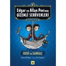 Kolektif Kitap Edgar ve Allan Poenun Gizemli Serüvenleri - 3