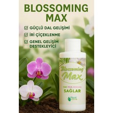 Biopeat Blossomingmax - Orkideler Için Dal ve Çiçek Destekleyici Premium Besin 100 ml