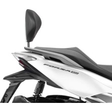 Shad Honda FORZA250/350 ,ADV350 (23) Sıssy Bar Bağlantı Demiri H0FR17RV