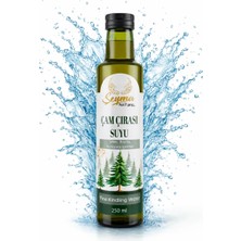 Şeyma Naturel Çam Çırası Suyu 250 ml | Doğal Üretim Süresi | Katkı & Koruyucusuz Içerik | Yüksek Fayda | Dağlardan Gelen Öz