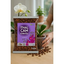 Biopeat Hollanda Ithal Çam Kabuğu Orkide Toprağı 1lt