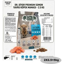 Dr.Diyor Dr. Diyor Somonlu Yavru Kuru Köpek Maması 5kg(2x2.5)