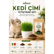 Biopeat Kedi Çimi Yetiştirme Seti – Saksı, Cocopeat Bitki Toprağı ve Buğday Tohumu Içeren 3’lü Kit | Evde Kolay Kullanım
