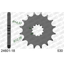 Afam Kawasakı ZX-12R Ninja (ZX1200) Çelik Ön Dişli #530 24601-18
