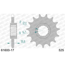 Afam Aprılıa Capanord 1000 / Rsv/rst 1000 Çelik Ön Dişli #525 61600-17